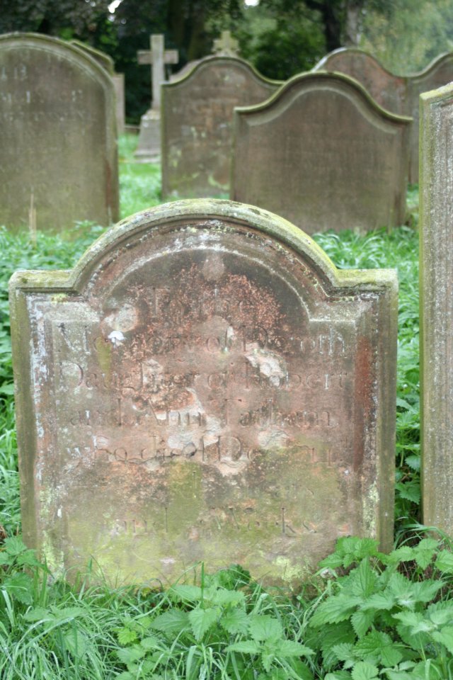 dorothytatham.jpg