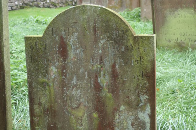 hannahtatham.jpg