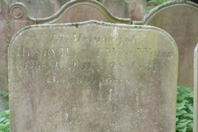 henryhaw.jpg