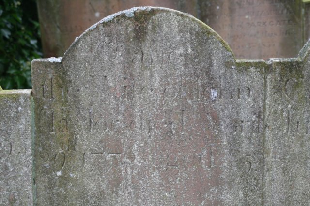 janetaylor.jpg