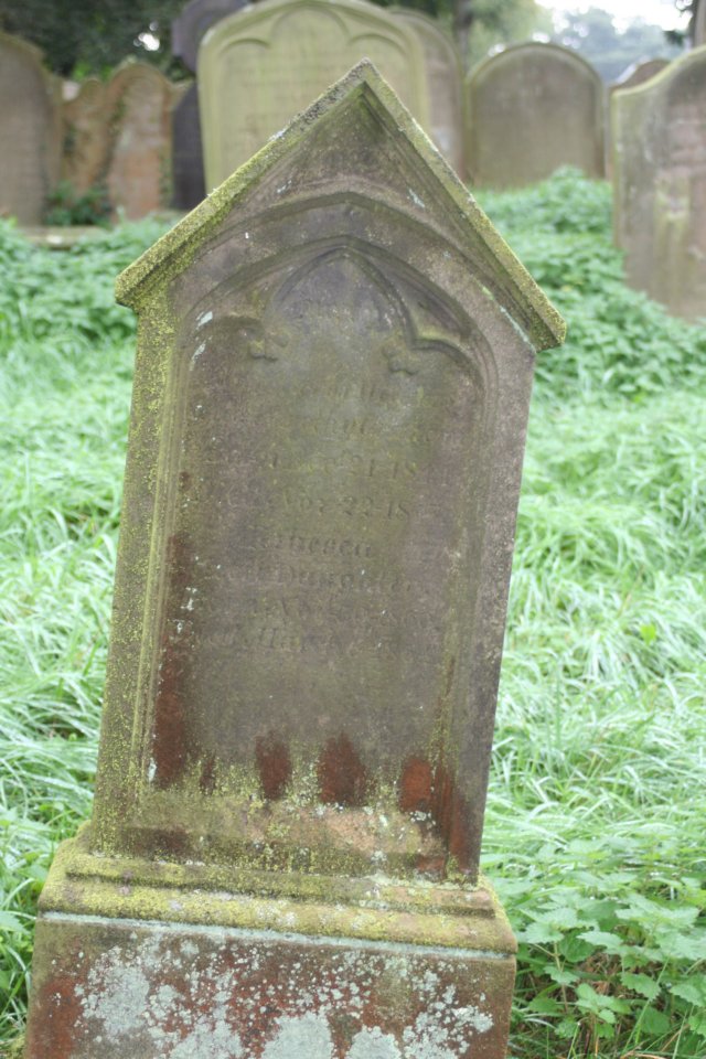 photo.jpg